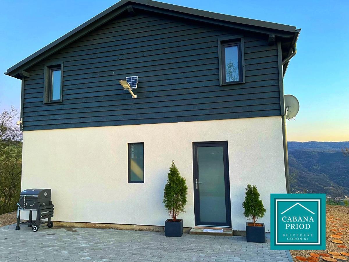 Cabana Priod Coronini Pescari Exteriör bild