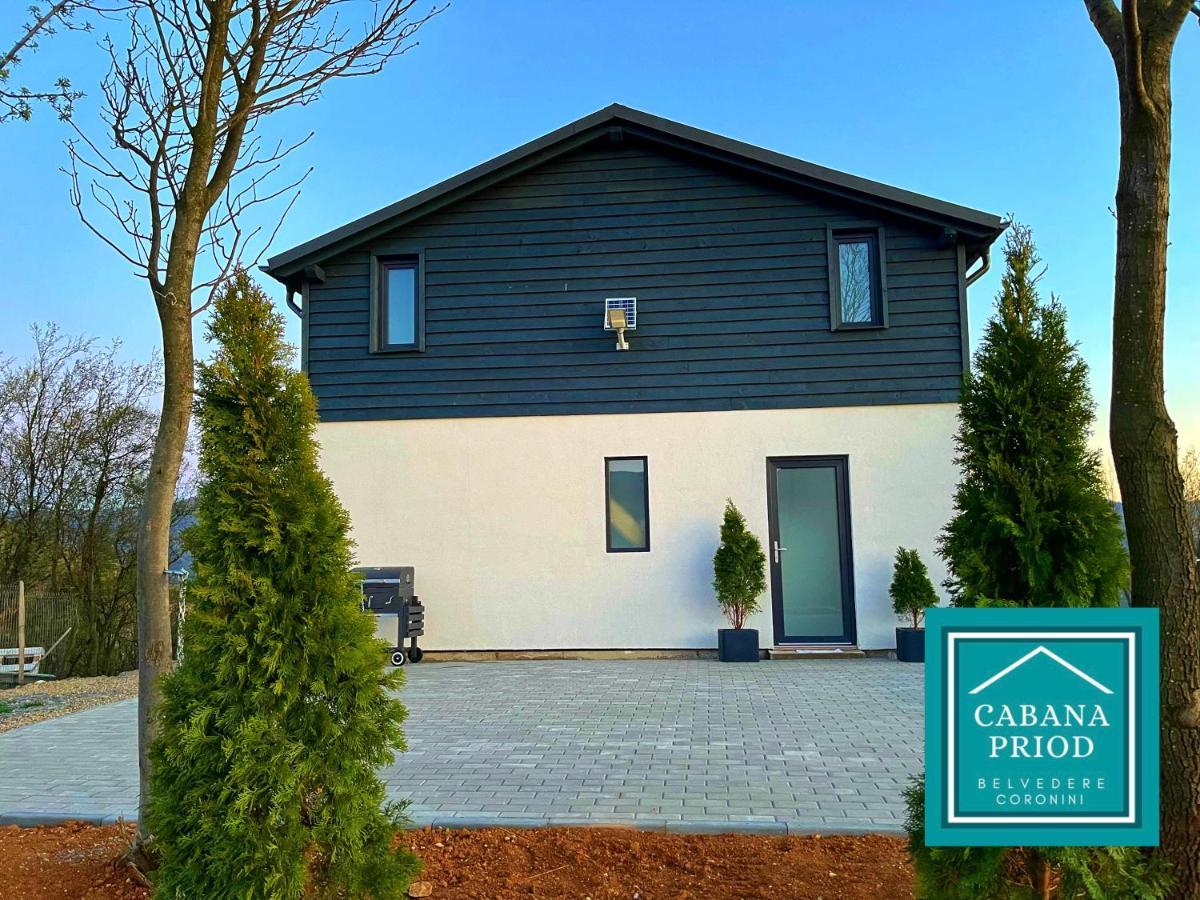 Cabana Priod Coronini Pescari Exteriör bild