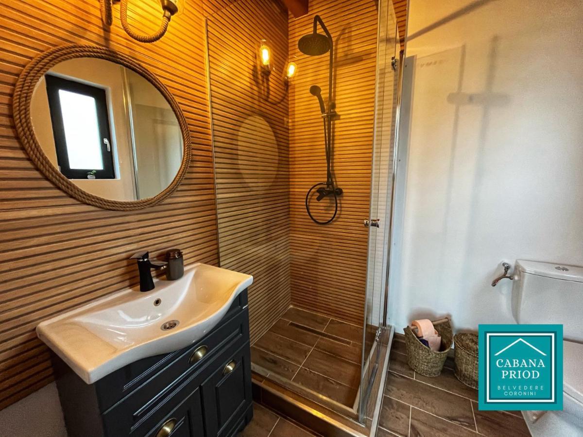 Cabana Priod Coronini Pescari Exteriör bild