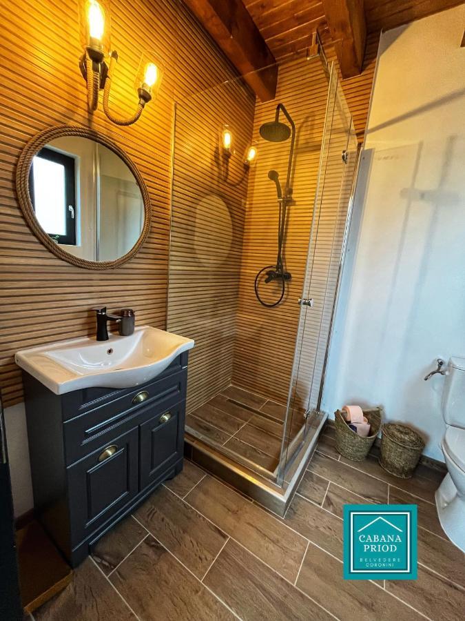 Cabana Priod Coronini Pescari Exteriör bild