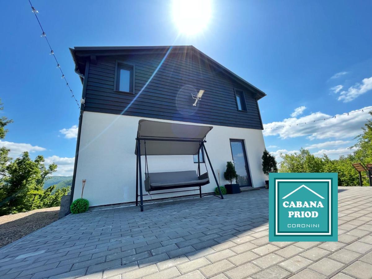 Cabana Priod Coronini Pescari Exteriör bild