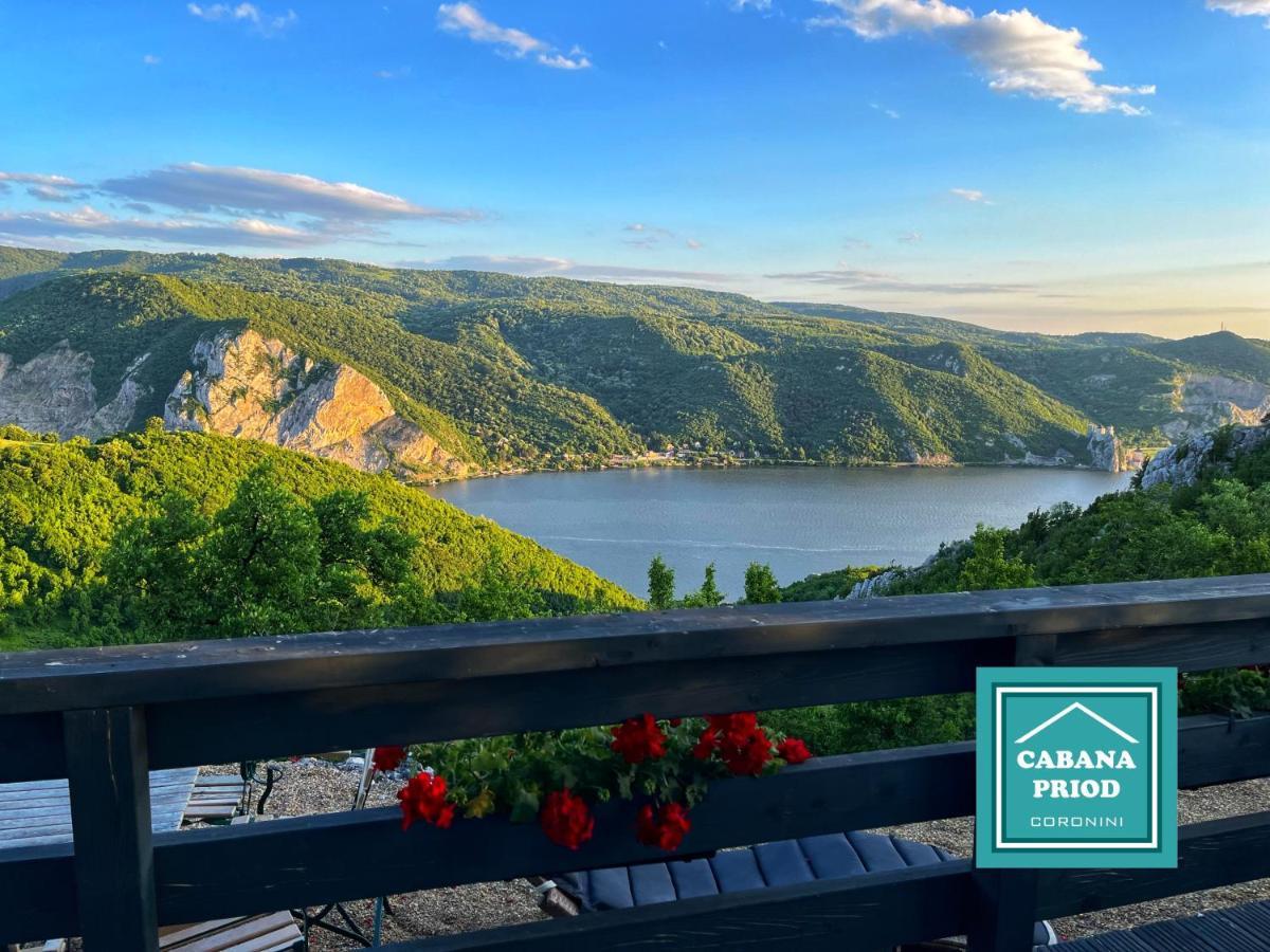 Cabana Priod Coronini Pescari Exteriör bild