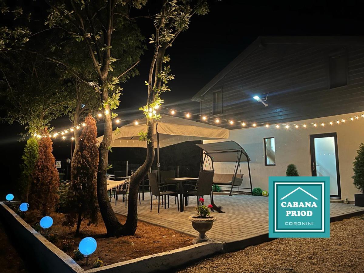 Cabana Priod Coronini Pescari Exteriör bild