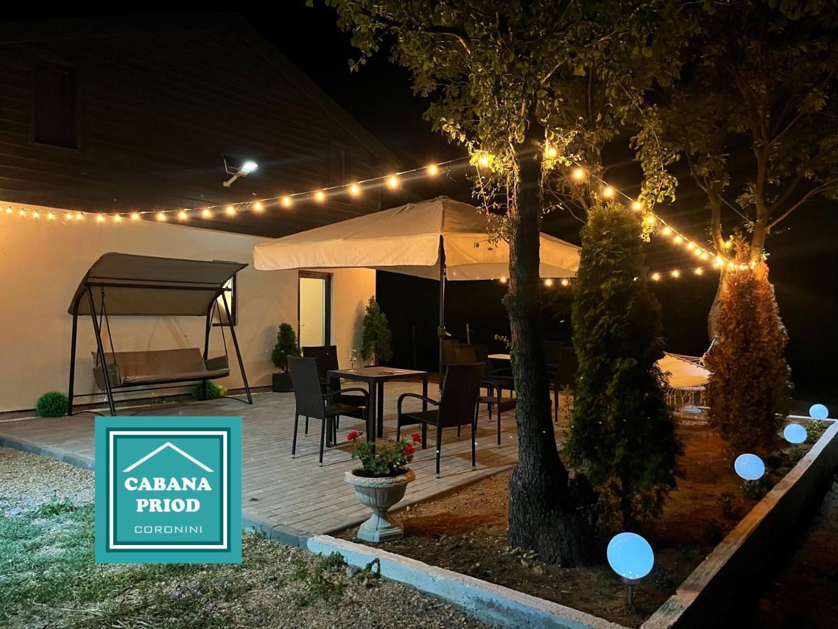Cabana Priod Coronini Pescari Exteriör bild