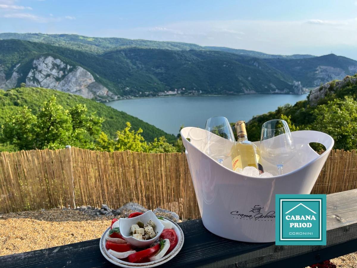 Cabana Priod Coronini Pescari Exteriör bild