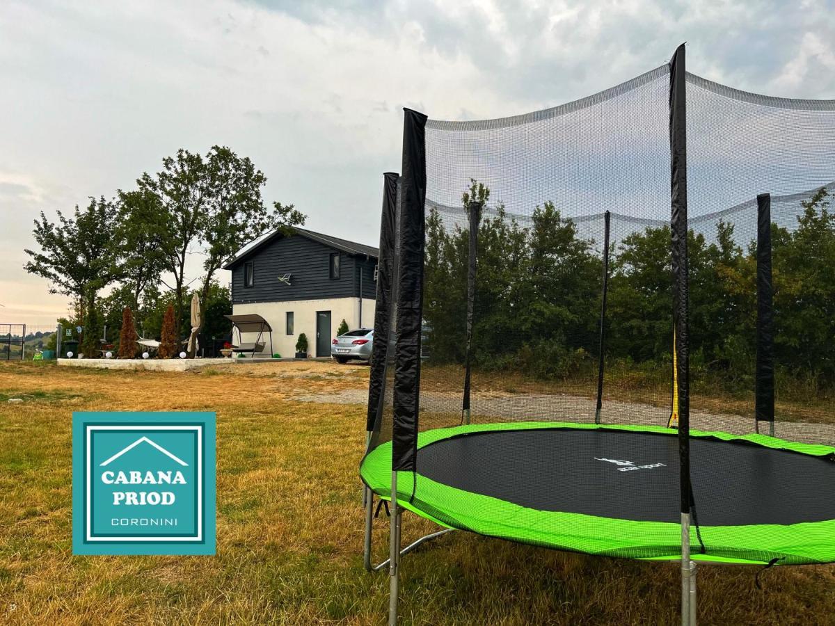 Cabana Priod Coronini Pescari Exteriör bild