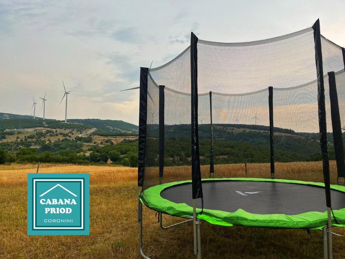 Cabana Priod Coronini Pescari Exteriör bild