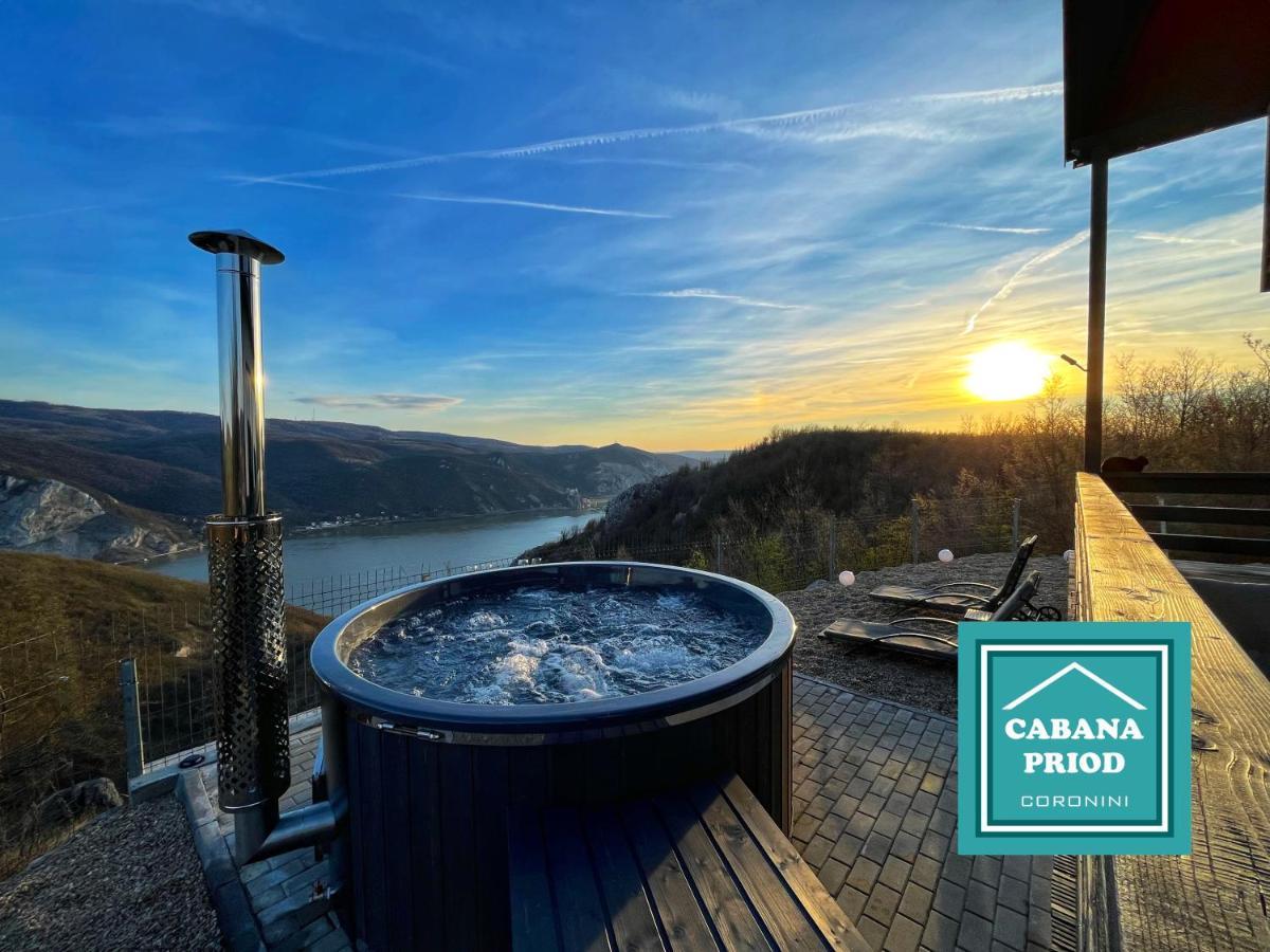 Cabana Priod Coronini Pescari Exteriör bild
